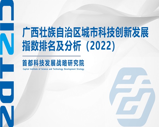 操jK贱逼【成果发布】广西壮族自治区城市科技创新发展指数排名及分析（2022）